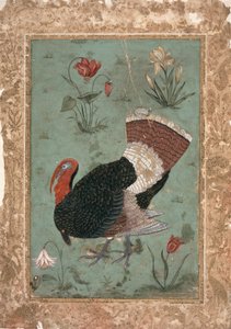Turchia, Mughal (colore su fondo verde pallido)